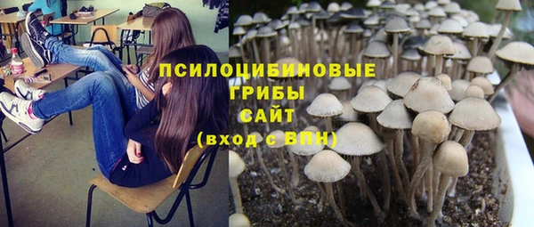 mix Алексеевка