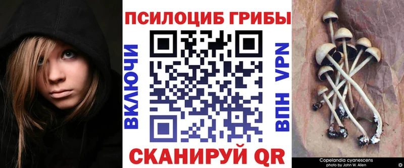 Псилоцибиновые грибы прущие грибы  Яровое 